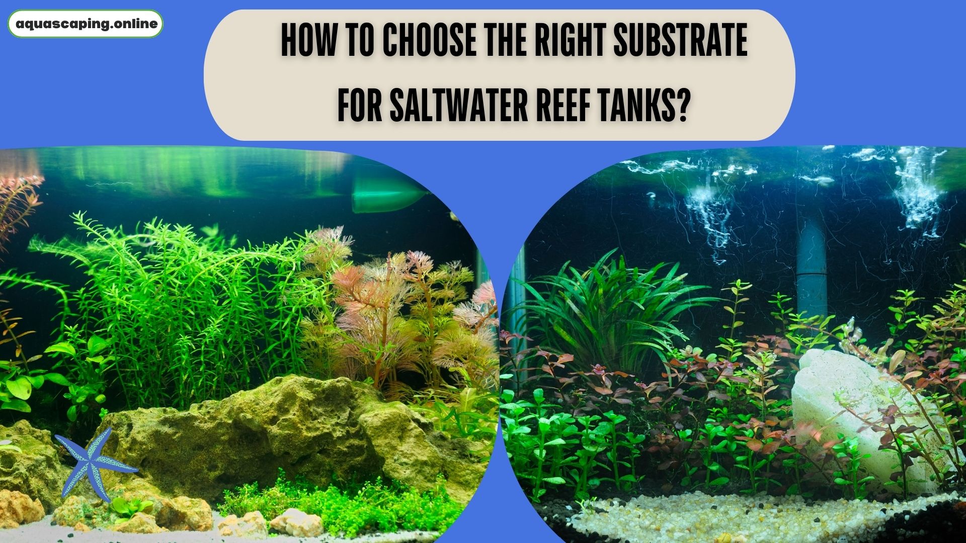 The right substrate for saltwater reef tanks