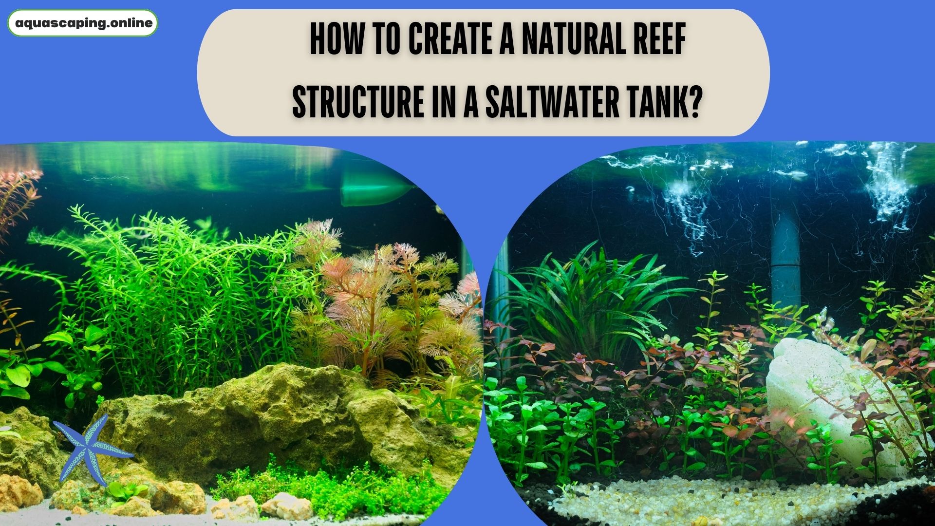Natural reef structure in a saltwater tank