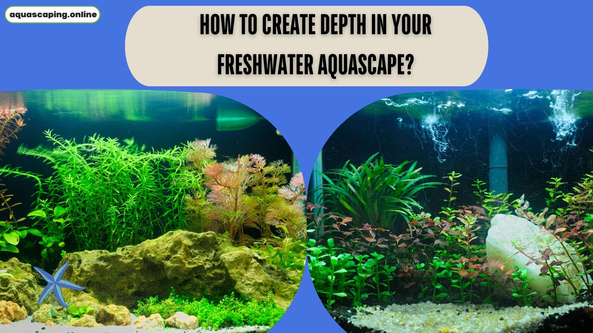 Create depth in your freshwater aquascape